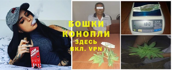 PSILOCYBIN Верхний Тагил