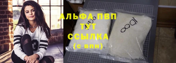 PSILOCYBIN Верхний Тагил