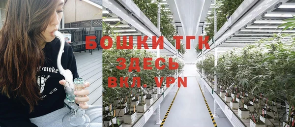PSILOCYBIN Верхний Тагил