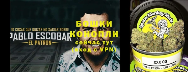 гидропоника Верея