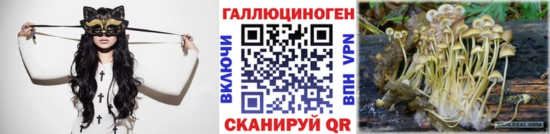 darknet какой сайт  где можно купить наркотик  Луга  Галлюциногенные грибы ЛСД 